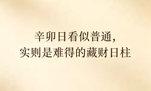 辛卯日看似普通，实则是难得的藏财日柱.png