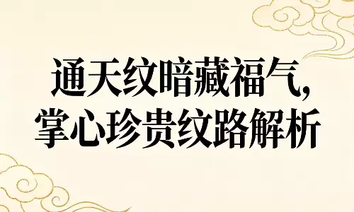 通天纹暗藏福气,掌心珍贵纹路解析.png 通天纹暗藏福气,掌心珍贵纹路解析.png