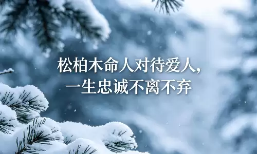 松柏木命人对待爱人,一生忠诚不离不弃.png 松柏木命人对待爱人,一生忠诚不离不弃.png