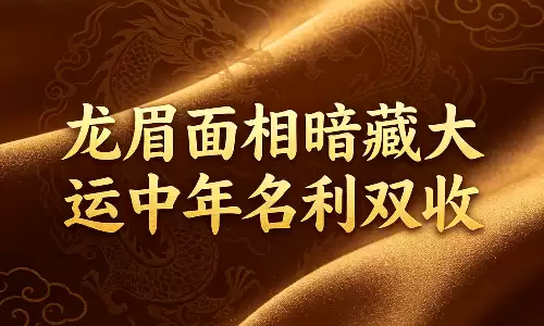龙眉面相暗藏大运中年名利双收.png 龙眉面相暗藏大运中年名利双收.png