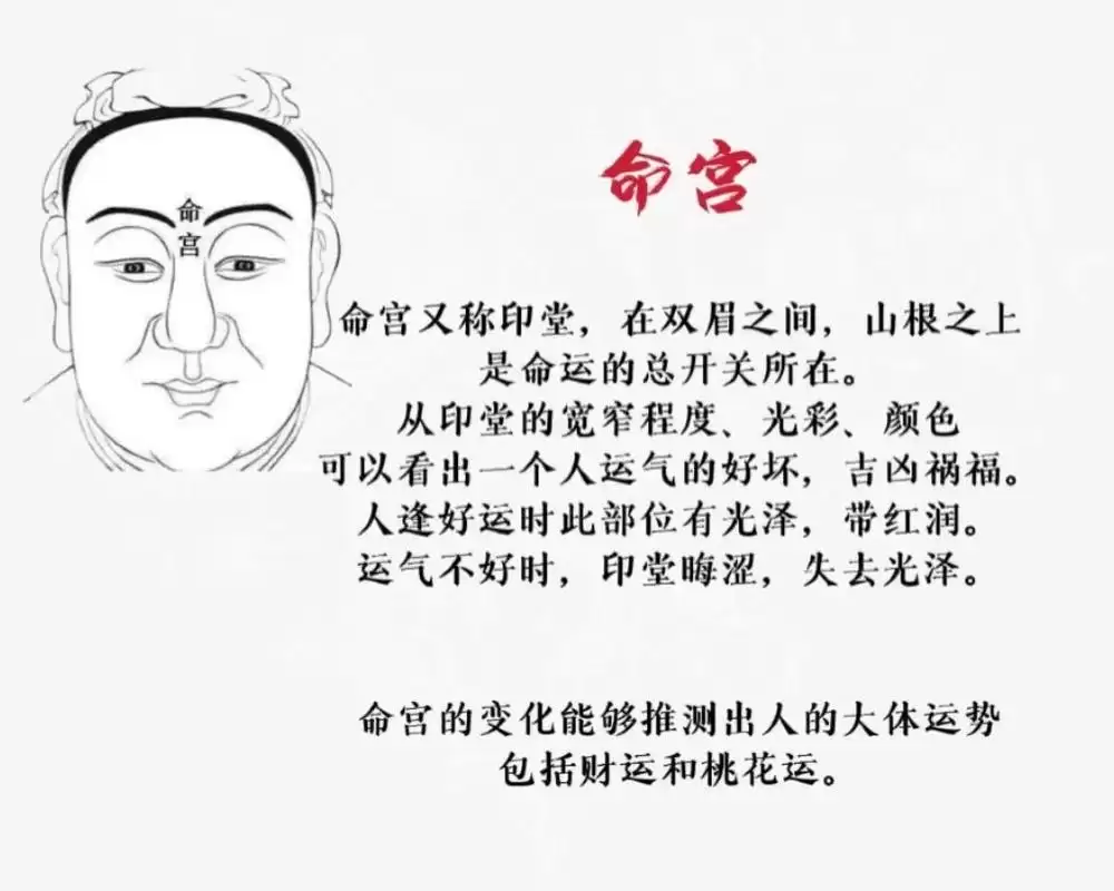 什么是命宫?教你快速推算自身命宫.jpg 什么是命宫?教你快速推算自身命宫.jpg
