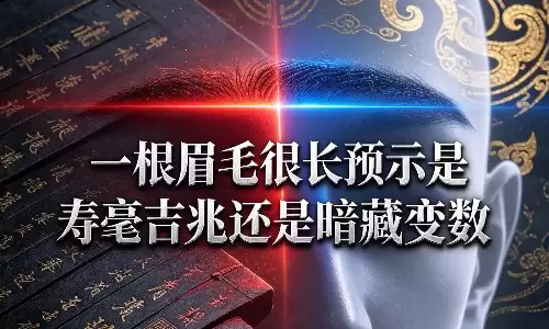 一根眉毛很长预示是寿毫吉兆还是暗藏变数.jpg 一根眉毛很长预示是寿毫吉兆还是暗藏变数.jpg