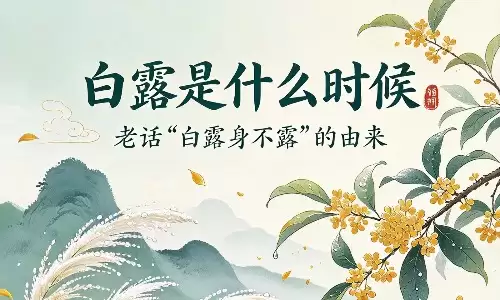 白露是什么时候,老话白露身不露的由来.jpg 白露是什么时候,老话白露身不露的由来.jpg